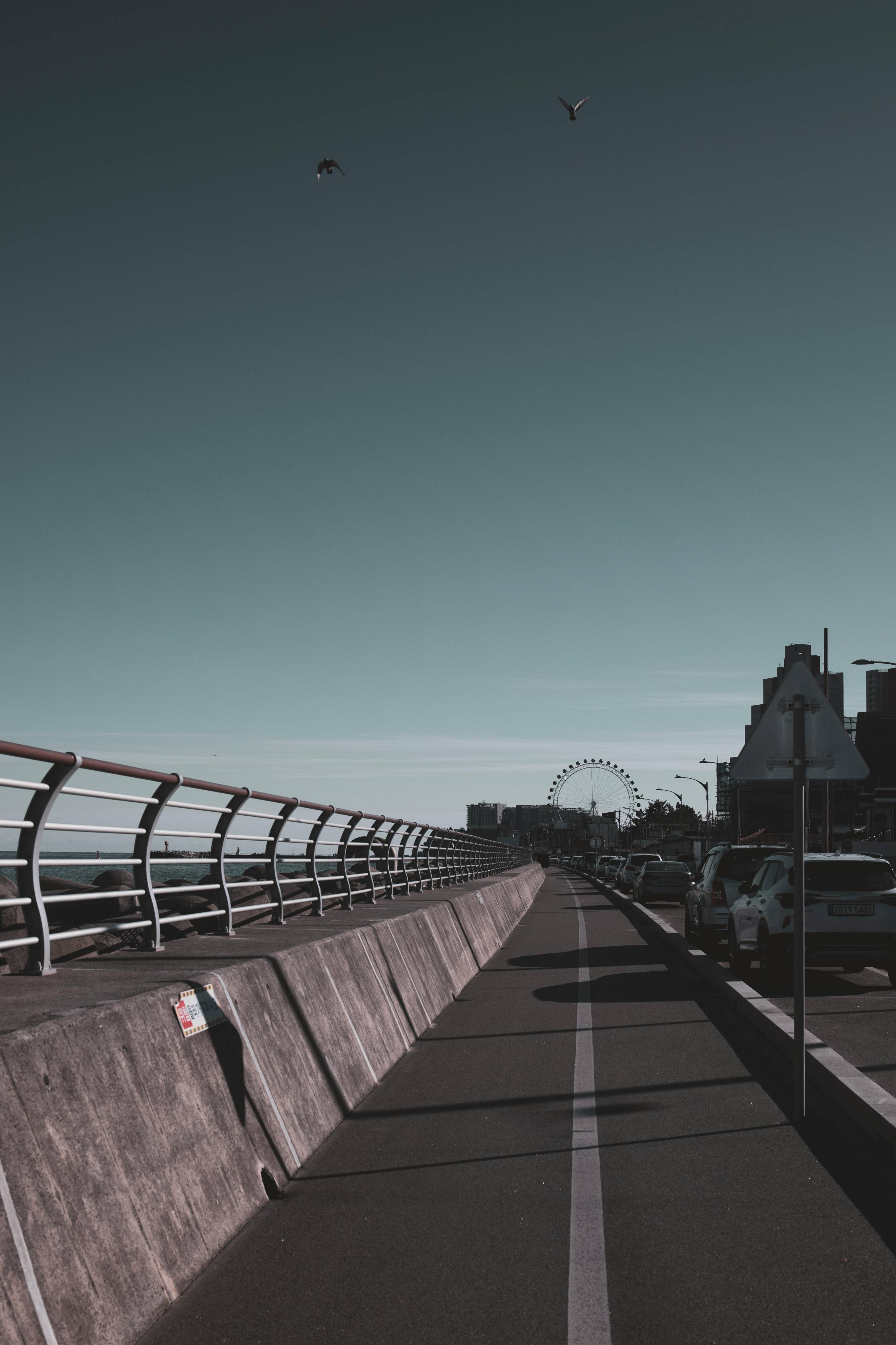 속초시 이미지들