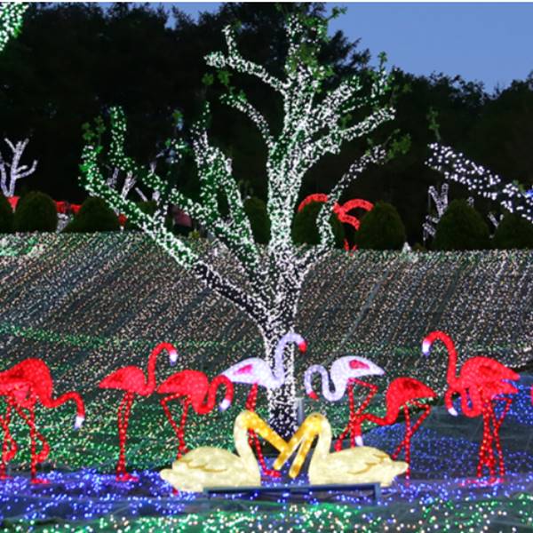 11월 경북 청도 프로방스 빛 축제 입장권 패키지 할인 구매 방법