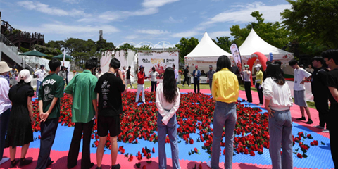 [5월 축제]2025 곡성 세계장미축제❘장미 실시간 개화 상황, 입장권 예매 방법, 프로그램 및 일정, 체험 가이드