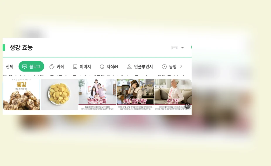 생강 효능_1_subsection