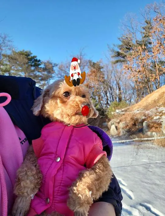 아이동물병원