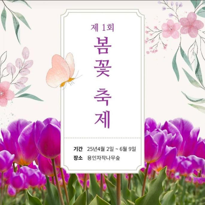 용인 자작나무숲 봄꽃 축제