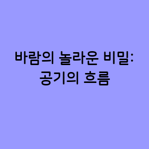 바람의 놀라운 비밀