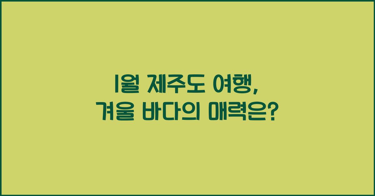 1월 제주도 여행