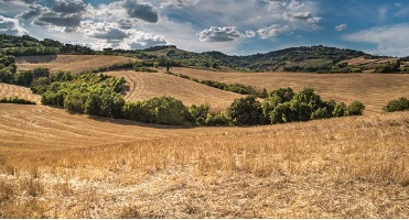 영농 경력 5년 쉽게 하는 법: 농지연금