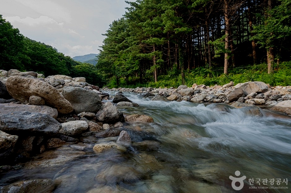 깨끗한 물에서 작은 물고기가 헤엄치는 모습이 보인다. [ⓒ한국관광공사]