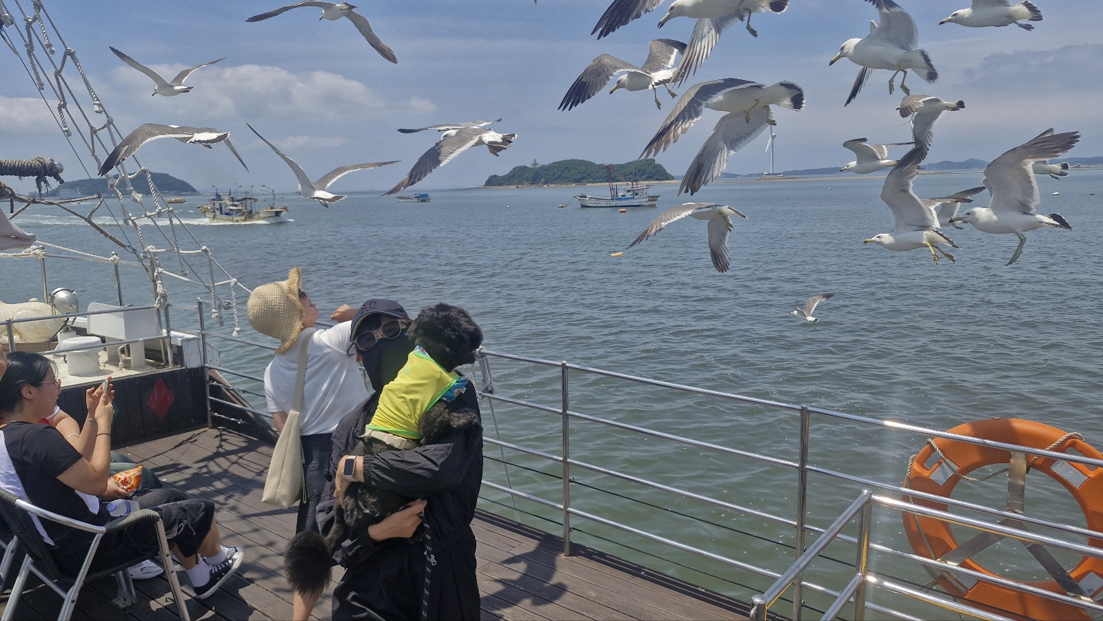강아지 새벽에 토하는 이유 정리