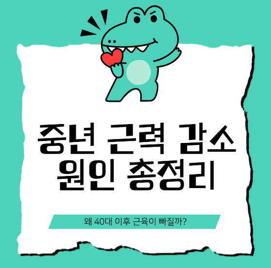 중년 근력 감소 원인과 해결 방법, 지금 시작해야 하는 이유