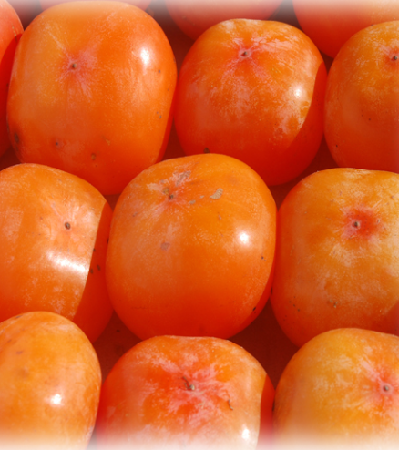 대봉감 보관방법