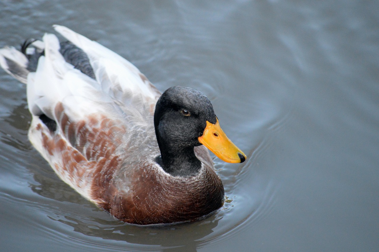 6.27 부동산 대책 대출규제