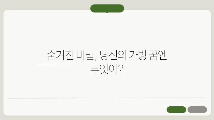 가방 꿈해몽