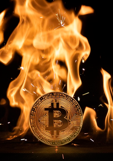 비트코인 관련 이미지