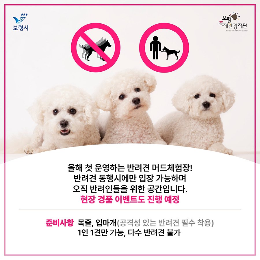 반려견 머드체험장