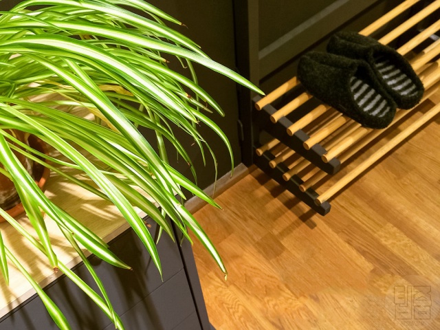 집안에 복을 부르는 풍수 인테리어,신발장 행운을 부르는 식물