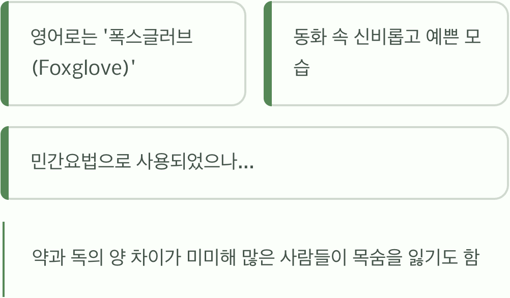 여우의 장갑, 아름다운 유혹