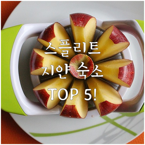 크로아티아 스플리트 지얀 숙소 추천 ..
