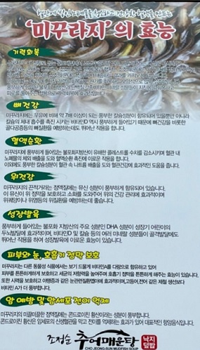 미꾸라지효능