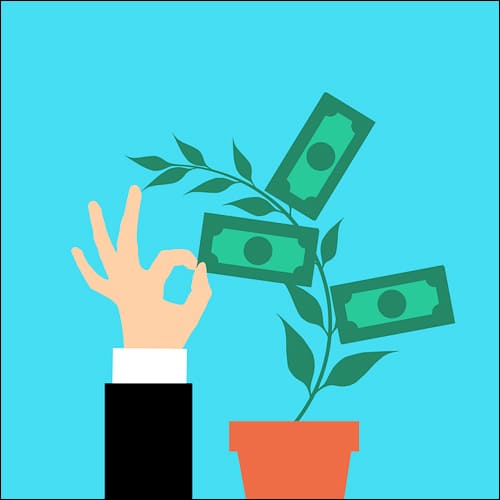 화분에서 자란 달러를 잡는 손가락