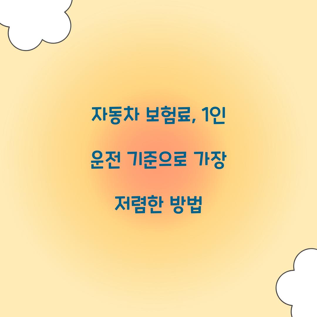 자동차 보험료, 1인 운전 기준으로 가장 저렴한 방법
