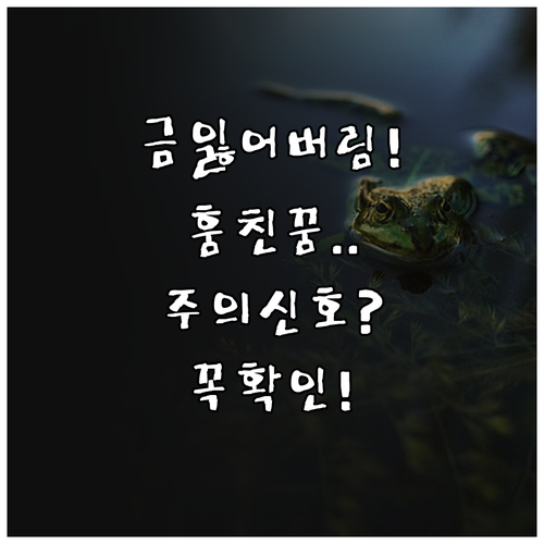 금 잃어버리거나 훔치는 꿈, 주의해야..