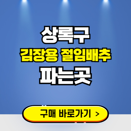 상록구 절임배추 사전예약 구입하는곳 ❘ 김장배추 파는곳 가격보기