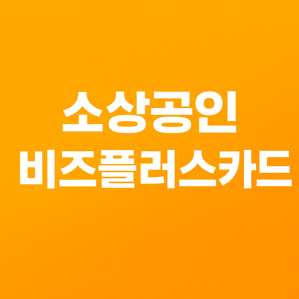 소상공인 비즈플러스카드