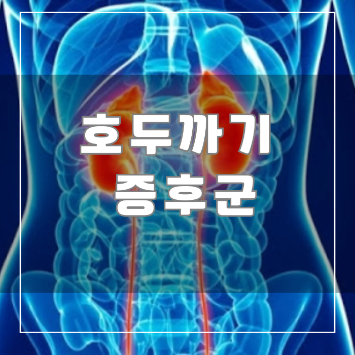 호두까기 증후군