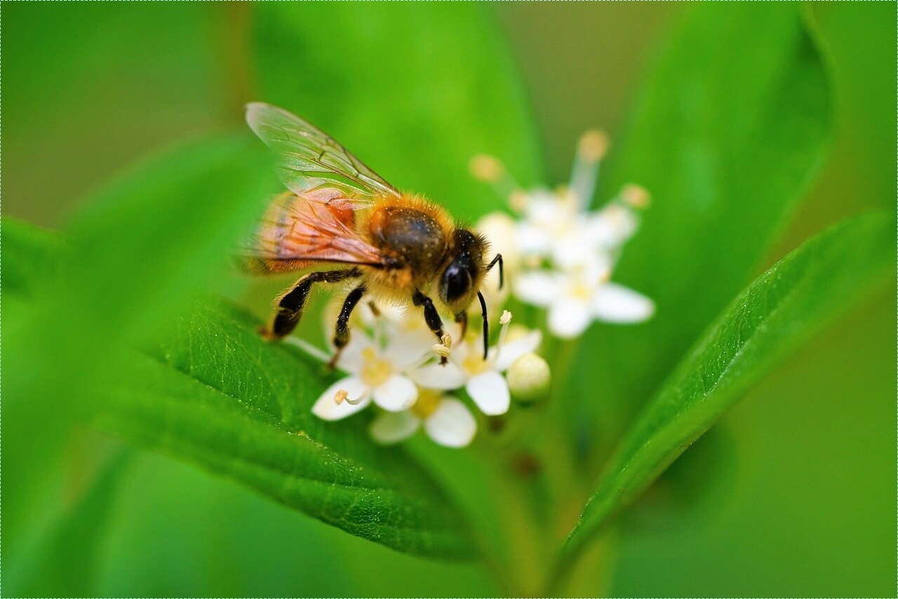 은행 적금 이자 높은곳