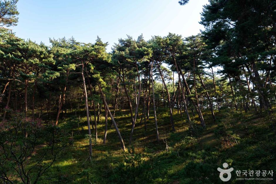 태안 가볼만한곳 베스트10