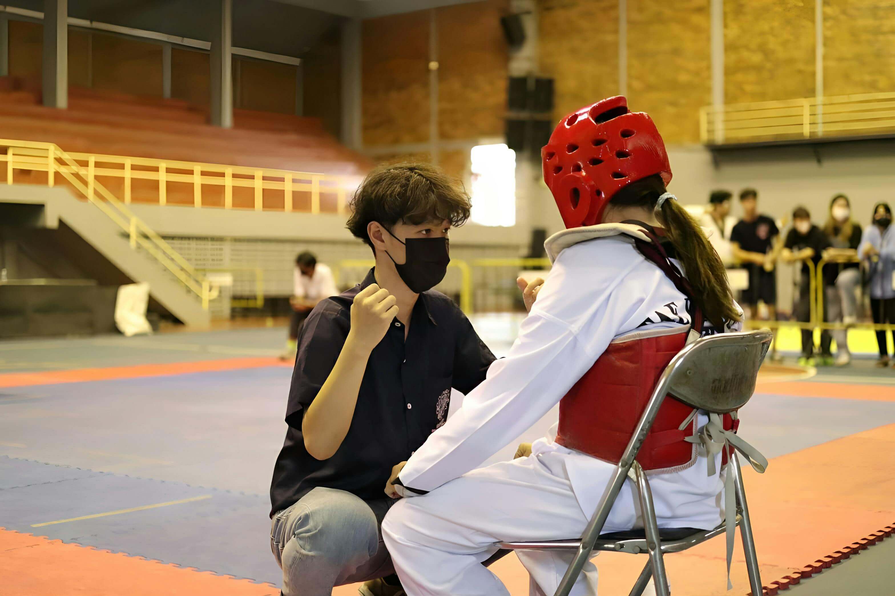 태권도 단증 확인 방법 완벽 정리 단수 조회부터 재발급까지
