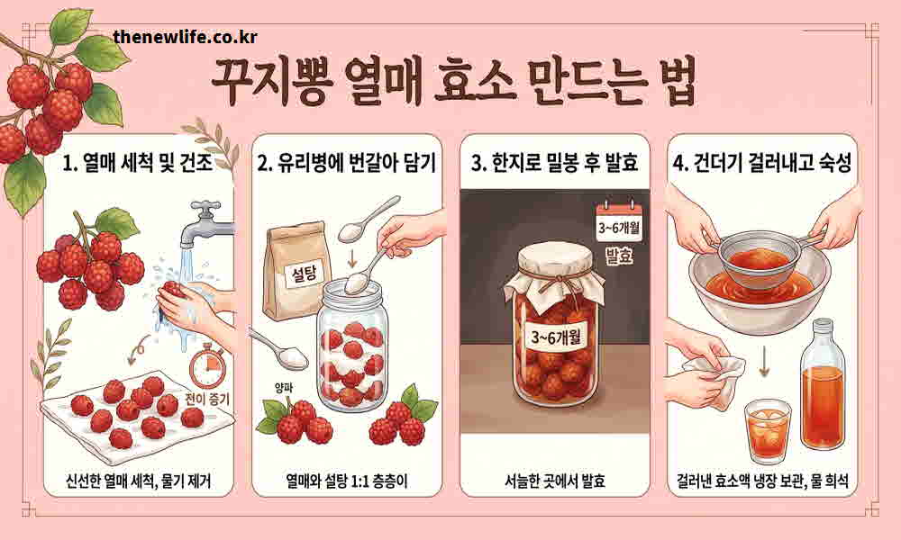꾸지뽕 열매 효소 만드는 법