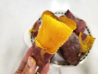 고구마 품종 호풍미 소담미 파종 심기 최적 시기_10