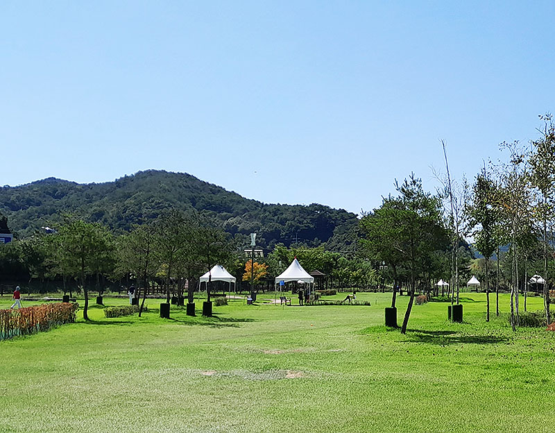 강원도 화천생활체육공원 파크골프장 (화천파크골프장) 소개