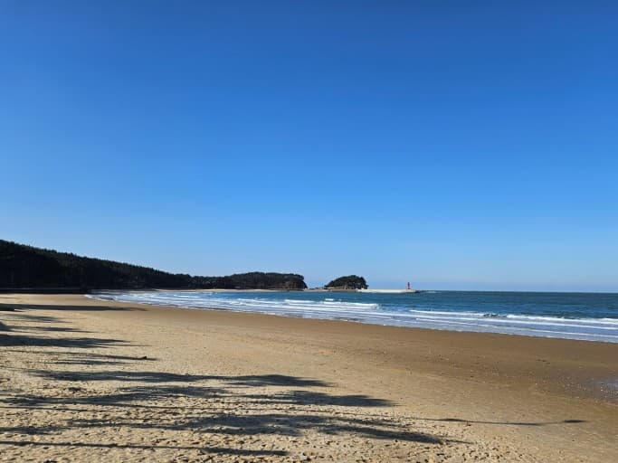 충남 태안 봄 여행지 BEST 3｜천리포수목원 목련(봄꽃)축제 주변 여행지