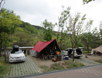 팔공산 도학 캠핑장 모습