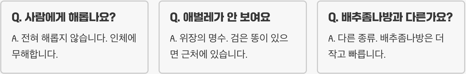 배추흰나비애벌레 생기는 이유, 알 낳는 곳부터 찾아야 합니다