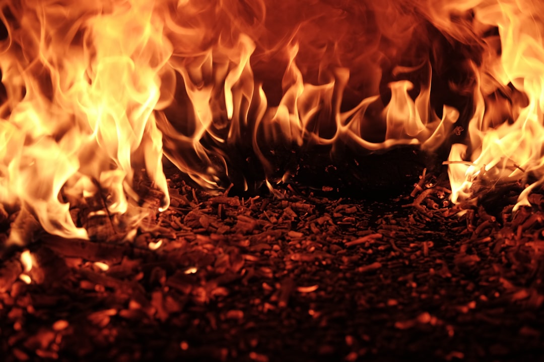 Samsung Fire & Marine Insurance