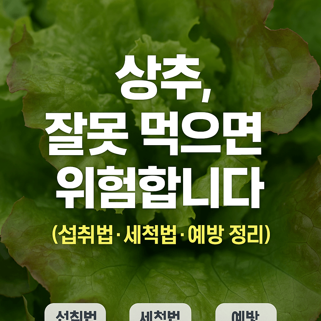 상추, 잘못 먹으면 위험합니다 (섭취법·세척법·예방 정리)