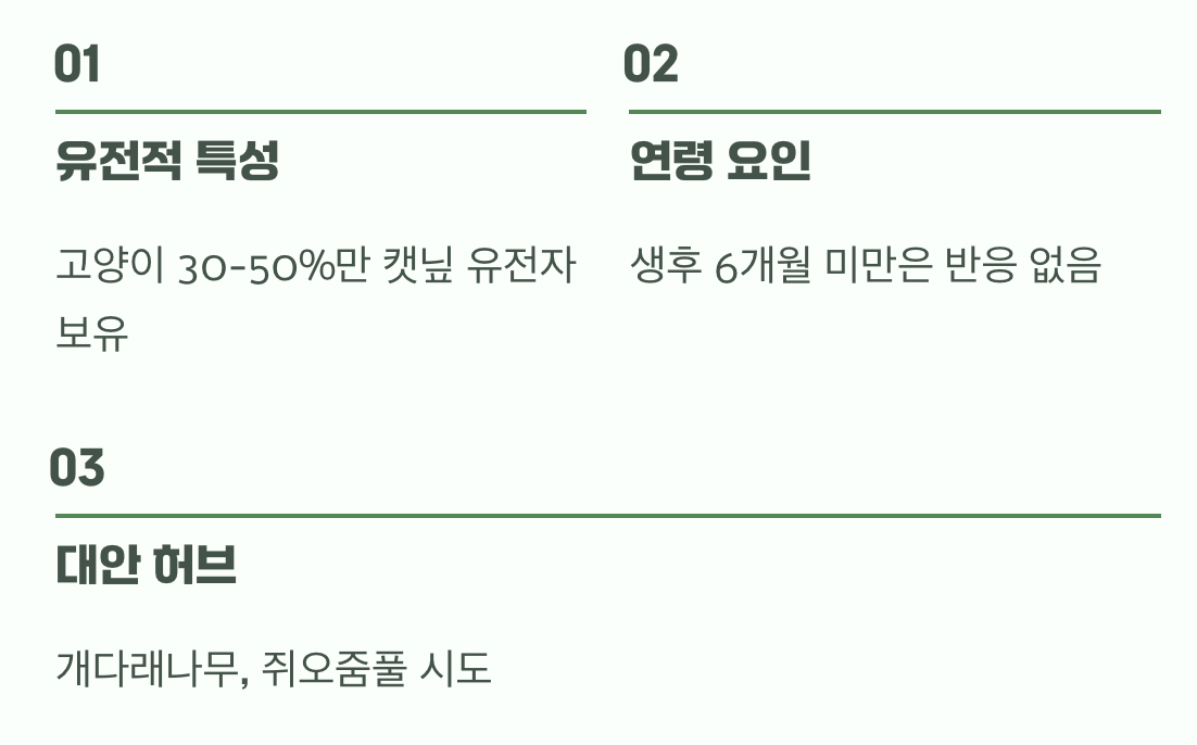 우리 냥님, 왜 반응이 없을까?