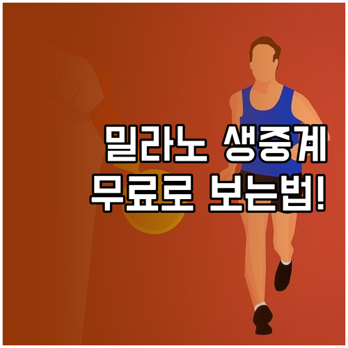 밀라노 코르티나 올림픽 대한민국 경기..