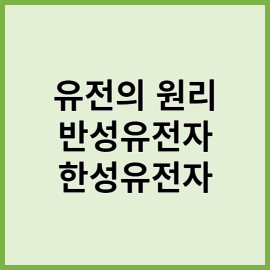 유전의 원리