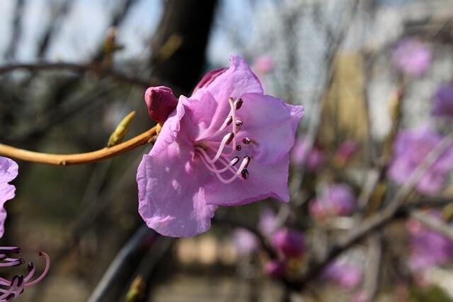 황매산 철쭉축제 근처 맛집 추천! 현지인 인정 합천·산청 밥집 BEST 5 (2025년)
