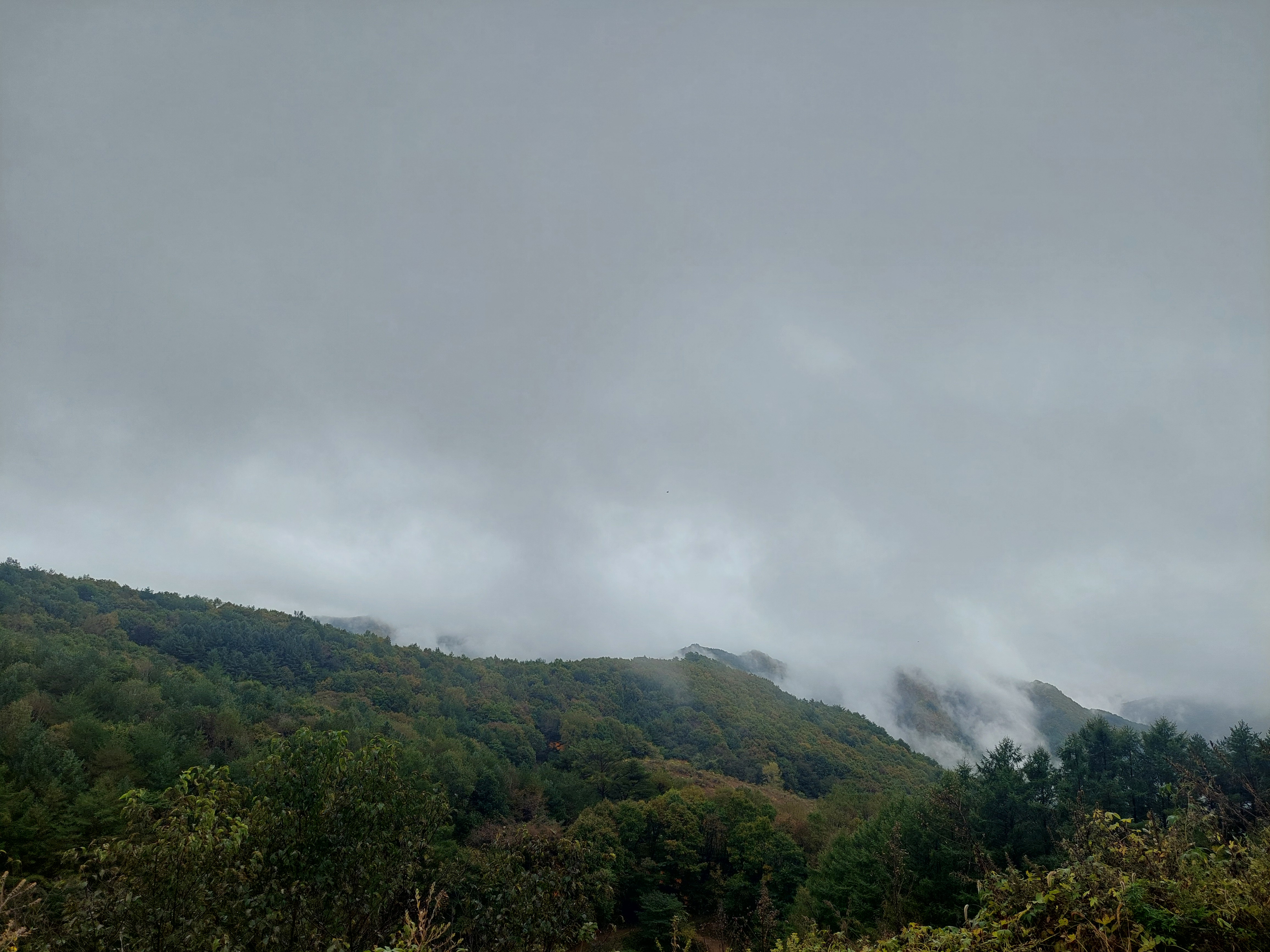 민둥산