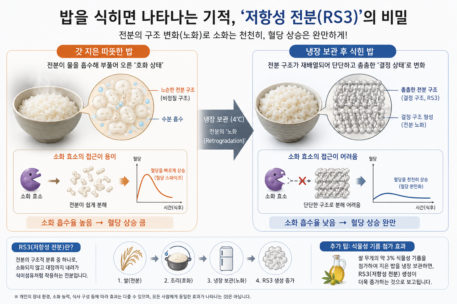 밥을 식히면 나타나는 기적, '저항성 전분(RS3)'의 비밀
