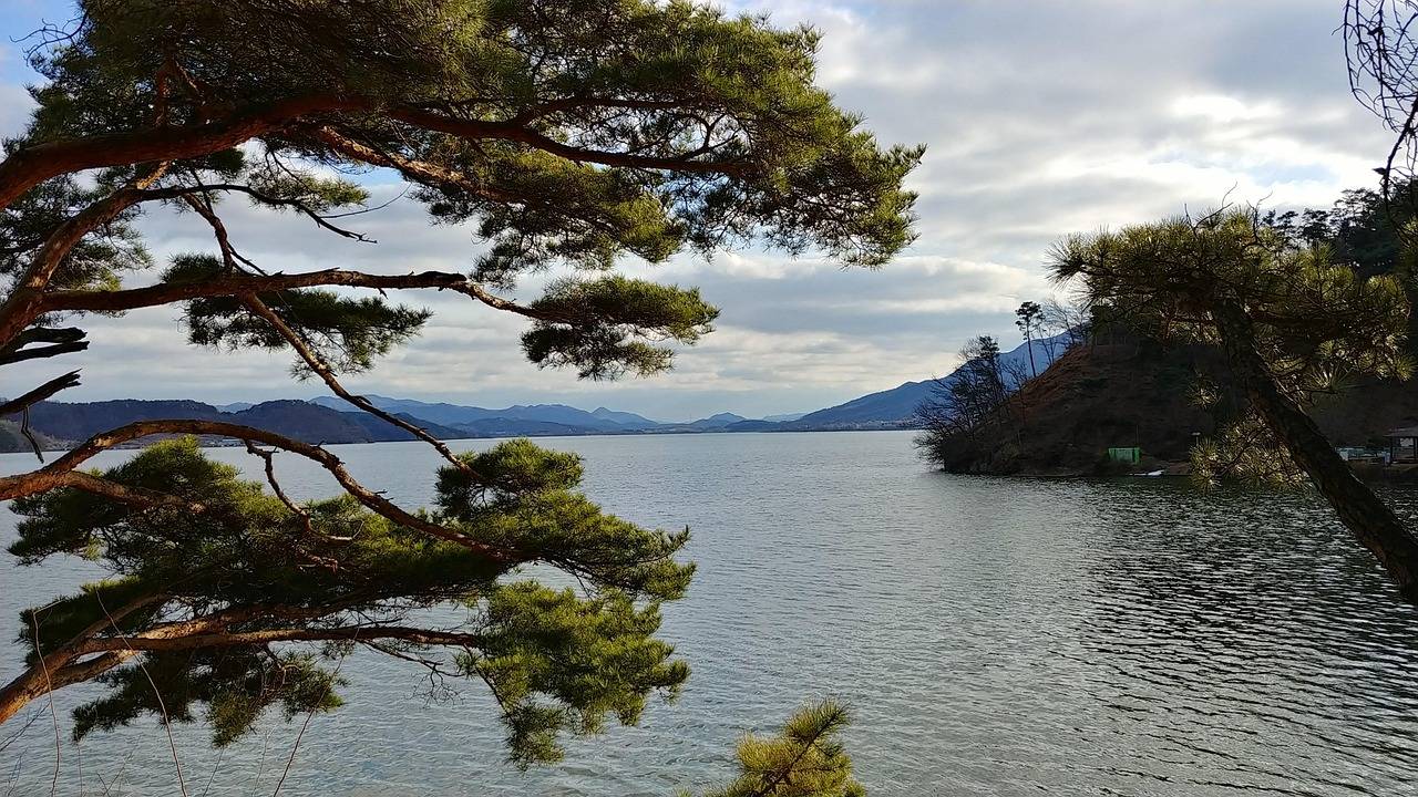 2025 여름맞이 숙박세일페스타 펜션 할인 총정리