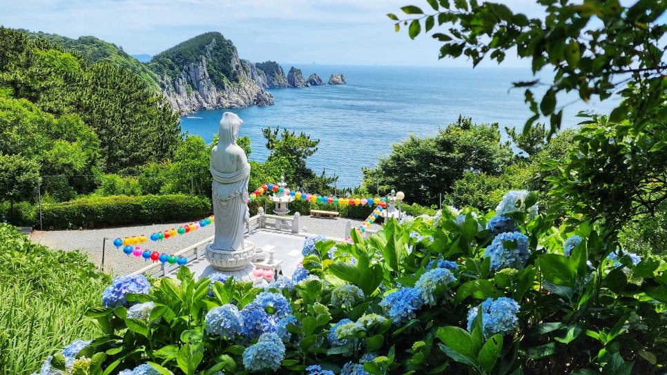 통영 연화도 수국