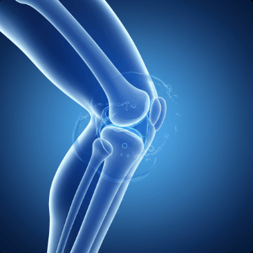 콘드로이친 효능과 부작용6