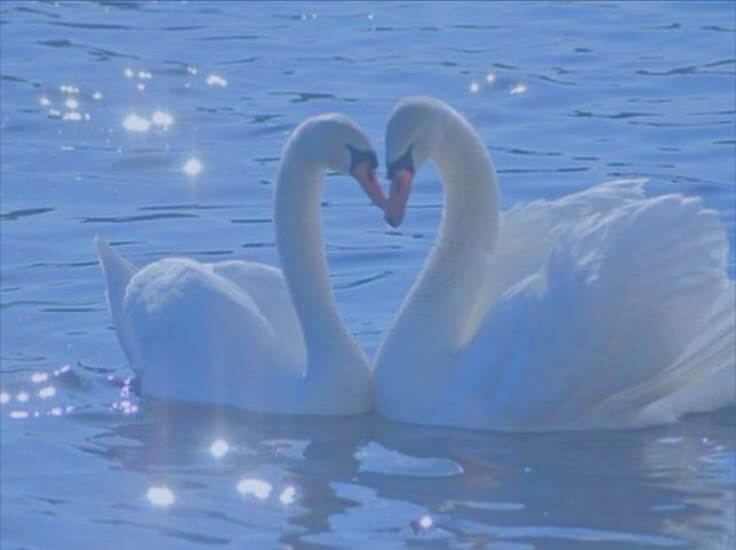 차박 초보자를 위한 장비 체크리스트