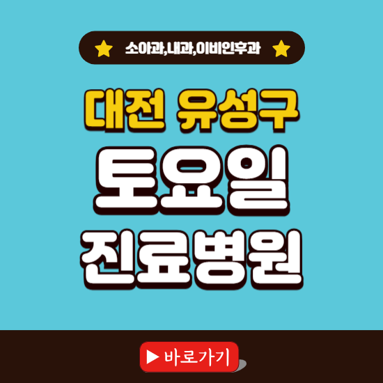 대전 유성구 토요일 진료 병원 찾기 ❘ 주말 문여는 소아과, 내과, 이비인후과 리스트