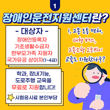 장애인 운전면허 취득